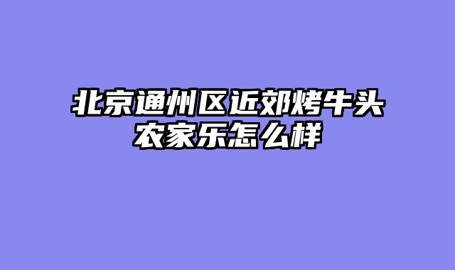 北京通州区近郊烤牛头农家乐怎么样