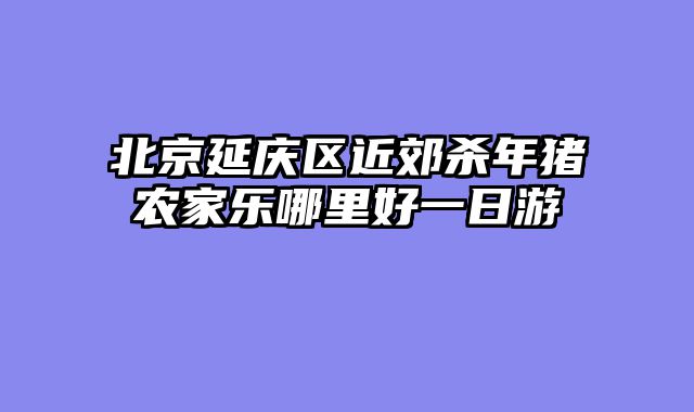 北京延庆区近郊杀年猪农家乐哪里好一日游