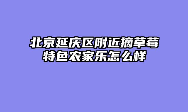北京延庆区附近摘草莓特色农家乐怎么样