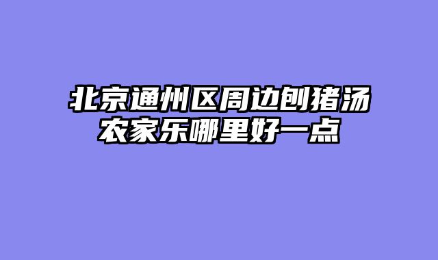 北京通州区周边刨猪汤农家乐哪里好一点