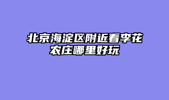 北京海淀区附近看李花农庄哪里好玩