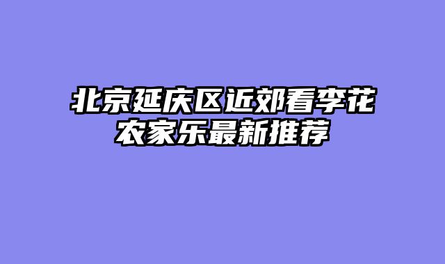 北京延庆区近郊看李花农家乐最新推荐