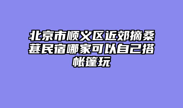 北京市顺义区近郊摘桑葚民宿哪家可以自己搭帐篷玩
