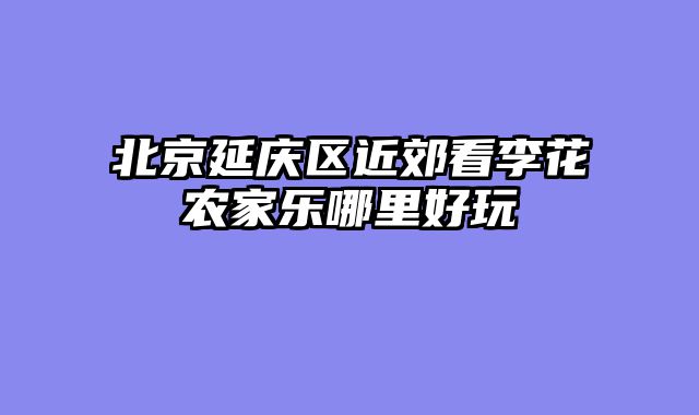 北京延庆区近郊看李花农家乐哪里好玩