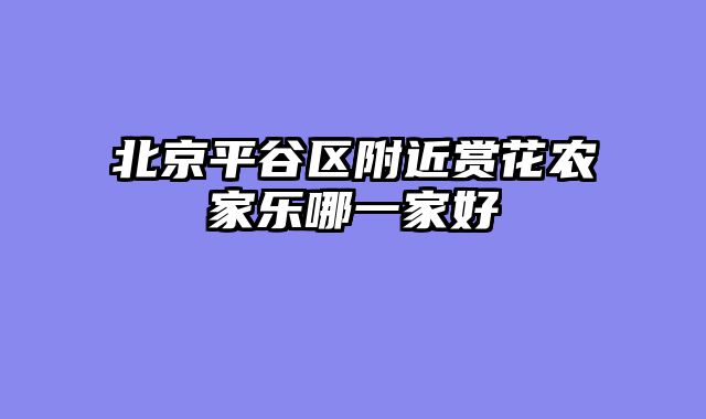 北京平谷区附近赏花农家乐哪一家好