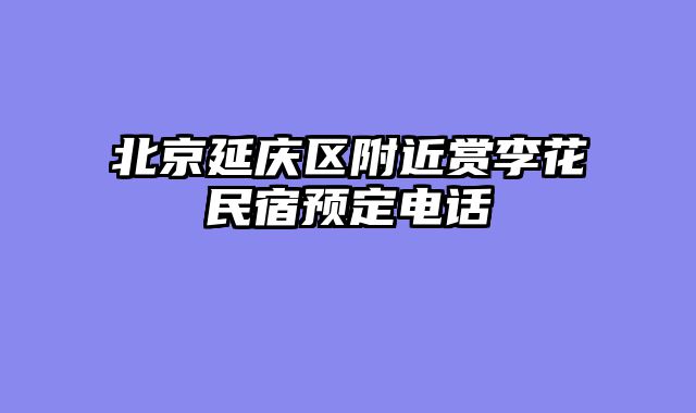北京延庆区附近赏李花民宿预定电话