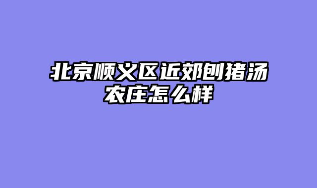 北京顺义区近郊刨猪汤农庄怎么样