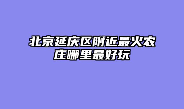 北京延庆区附近最火农庄哪里最好玩