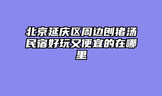 北京延庆区周边刨猪汤民宿好玩又便宜的在哪里