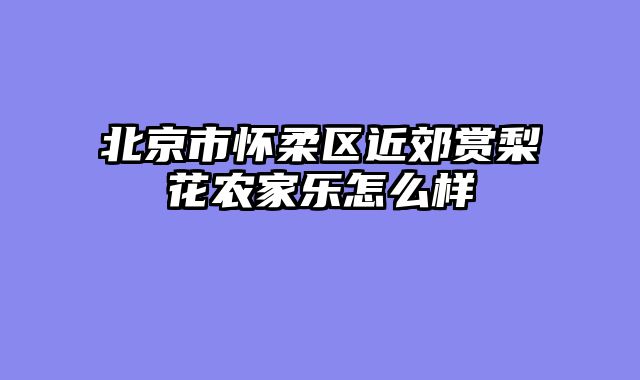 北京市怀柔区近郊赏梨花农家乐怎么样