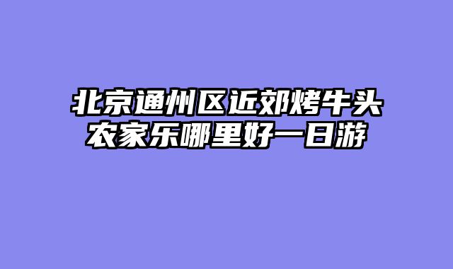 北京通州区近郊烤牛头农家乐哪里好一日游