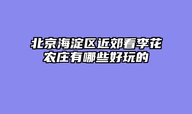 北京海淀区近郊看李花农庄有哪些好玩的