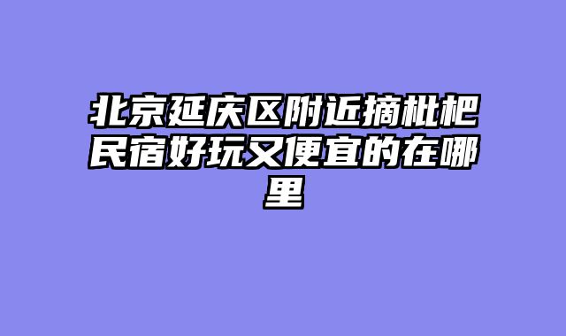 北京延庆区附近摘枇杷民宿好玩又便宜的在哪里