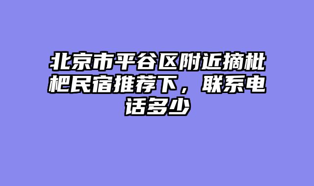 北京市平谷区附近摘枇杷民宿推荐下,联系电话多少