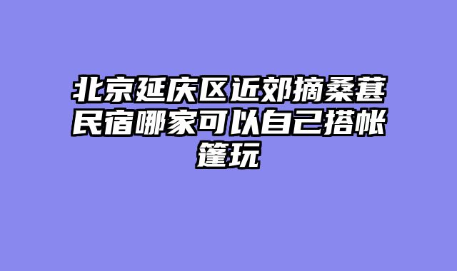 北京延庆区近郊摘桑葚民宿哪家可以自己搭帐篷玩