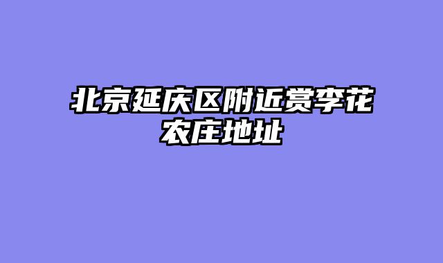 北京延庆区附近赏李花农庄地址