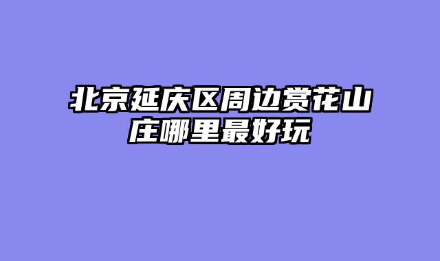 北京延庆区周边赏花山庄哪里最好玩
