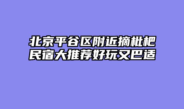 北京平谷区附近摘枇杷民宿大推荐好玩又巴适