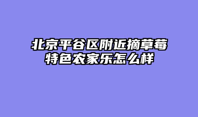 北京平谷区附近摘草莓特色农家乐怎么样