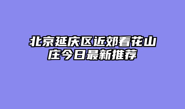 北京延庆区近郊看花山庄今日最新推荐