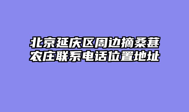 北京延庆区周边摘桑葚农庄联系电话位置地址