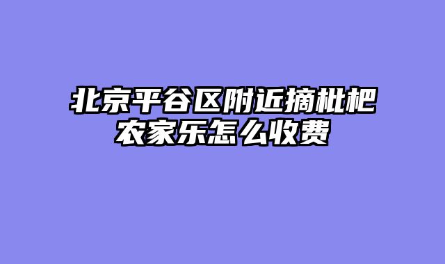 北京平谷区附近摘枇杷农家乐怎么收费