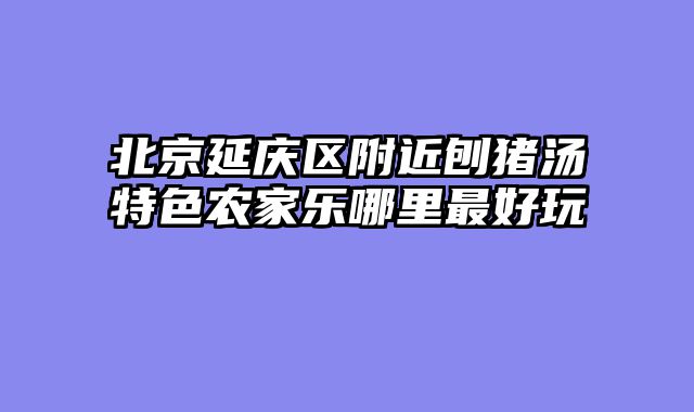 北京延庆区附近刨猪汤特色农家乐哪里最好玩