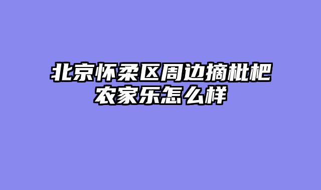 北京怀柔区周边摘枇杷农家乐怎么样
