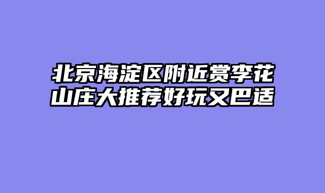 北京海淀区附近赏李花山庄大推荐好玩又巴适