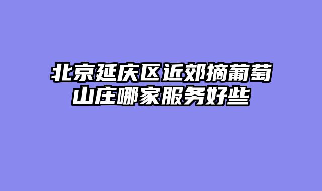 北京延庆区近郊摘葡萄山庄哪家服务好些
