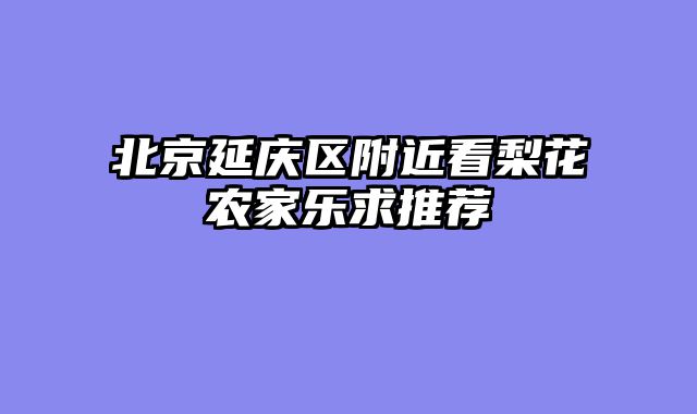 北京延庆区附近看梨花农家乐求推荐