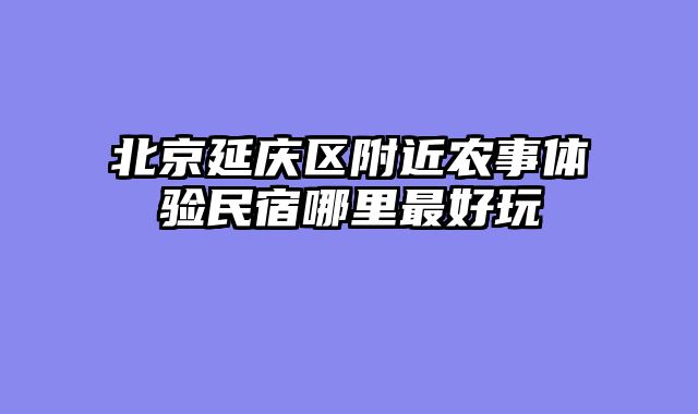 北京延庆区附近农事体验民宿哪里最好玩