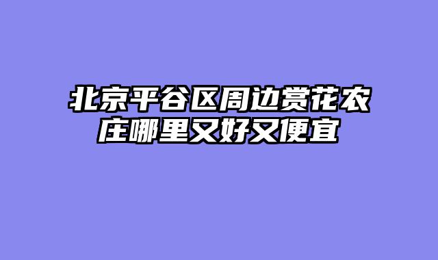 北京平谷区周边赏花农庄哪里又好又便宜