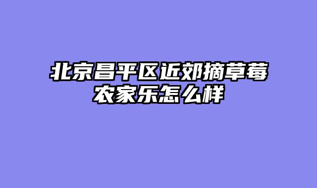 北京昌平区近郊摘草莓农家乐怎么样