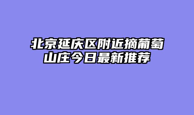 北京延庆区附近摘葡萄山庄今日最新推荐