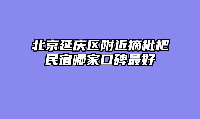 北京延庆区附近摘枇杷民宿哪家口碑最好
