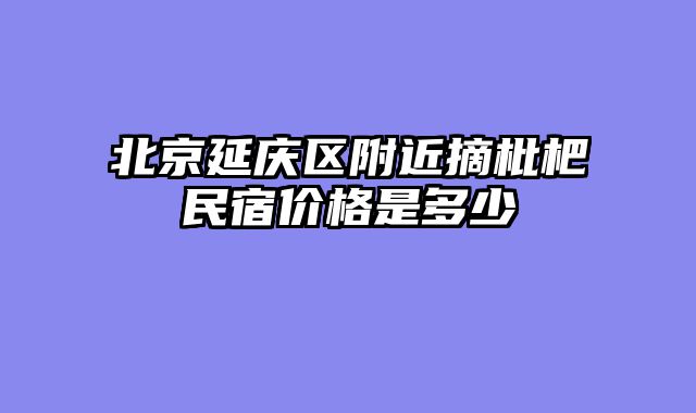 北京延庆区附近摘枇杷民宿价格是多少