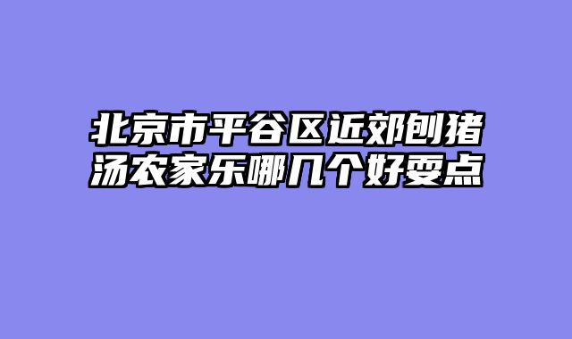 北京市平谷区近郊刨猪汤农家乐哪几个好耍点
