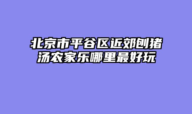 北京市平谷区近郊刨猪汤农家乐哪里最好玩