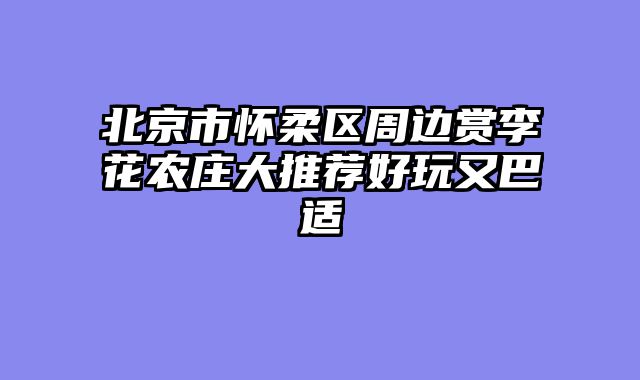 北京市怀柔区周边赏李花农庄大推荐好玩又巴适