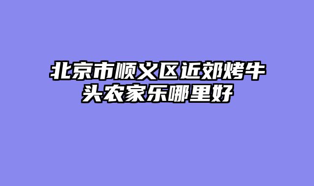 北京市顺义区近郊烤牛头农家乐哪里好