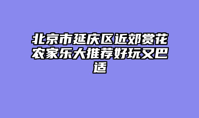 北京市延庆区近郊赏花农家乐大推荐好玩又巴适