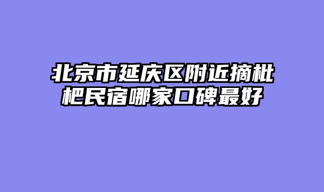 北京市延庆区附近摘枇杷民宿哪家口碑最好