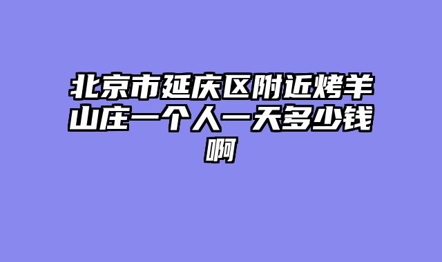 北京市延庆区附近烤羊山庄一个人一天多少钱啊