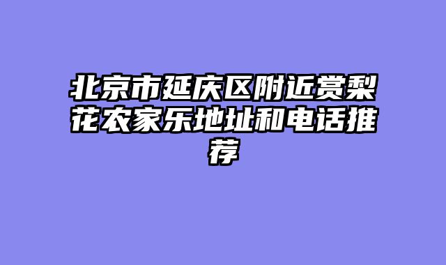 北京市延庆区附近赏梨花农家乐地址和电话推荐