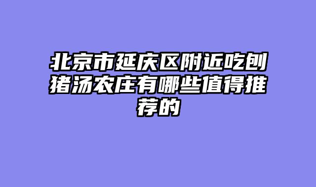 北京市延庆区附近吃刨猪汤农庄有哪些值得推荐的