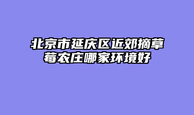 北京市延庆区近郊摘草莓农庄哪家环境好