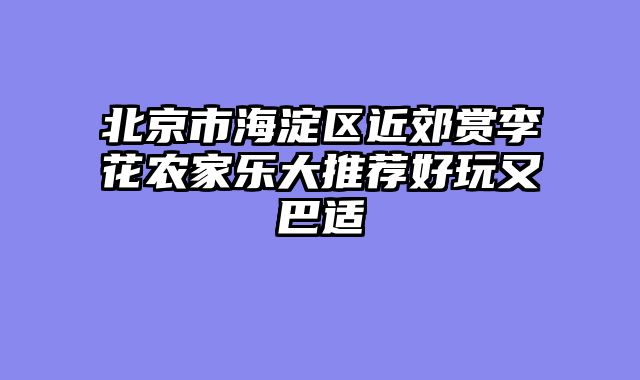 北京市海淀区近郊赏李花农家乐大推荐好玩又巴适