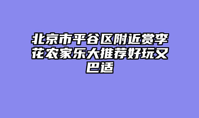 北京市平谷区附近赏李花农家乐大推荐好玩又巴适