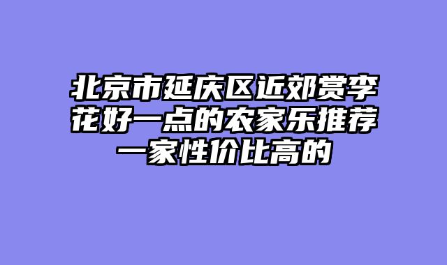 北京市延庆区近郊赏李花好一点的农家乐推荐一家性价比高的